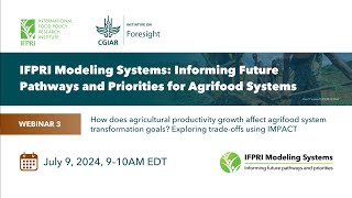 How does agricultural productivity growth affect agrifood system transformation goals [upl. by Garret]