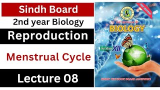 menstrual cycle  reproduction  class 12 biology Sindh board New book [upl. by Acimad]