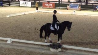 Grand Prix Freestyle Dressage Warm Up [upl. by Sirrot]