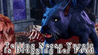 Licking the Spider SOLVED  Telling Nessa Yurgir is Drugging Her for Love  Baldurs Gate 3 [upl. by Sup]