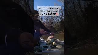 Creek Crappie Limits of SALBS‼️ creekfishing crappiefishing bankfishing kayakfishing [upl. by Yelyac]