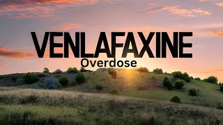 Effexor Venlafaxine Overdose A Case Study [upl. by Ahsrav890]