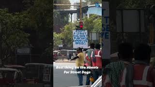 Man Wins Hearts By Spreading Awareness About Pet Adoption At Traffic Signal [upl. by Acinemod]