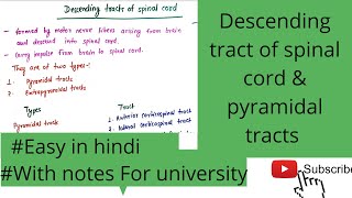 Descending tracts of spinal cord pyramidal tracts daigramfunction of pyramidal tracts [upl. by Aihceyt]