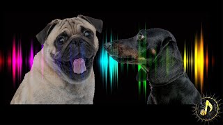 Dogs Barking Sound Effect  Sounds Dogs Love [upl. by Sikko]