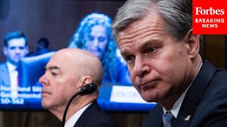 JUST IN Wray Mayorkas Grilled By Senators In Senate Homeland Security Committee Hearing  PART 2 [upl. by Mallorie244]