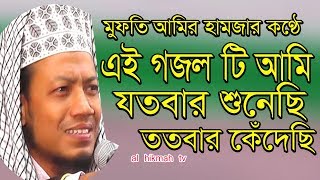 হাজারো ব্যথা বেদনার পরে ফিরে আসনি তুমি আপন ঘরে islamic gan amir hamja [upl. by Heady]