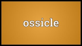 Ossicle Meaning [upl. by Towers]