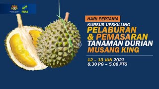 KURSUS UPSKILLING PELABURAN amp PEMASARAN TANAMAN DURIAN MUSANG KINGHARI PERTAMA12 JUN [upl. by Camel318]