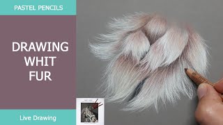 Drawing White Fur with pastels  Sabine Lackner Fine Art [upl. by Karas]