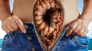 ASMR Whats on the belly and navel Removing All the Creepy Crawlies  2D Animation [upl. by Nayrbo]