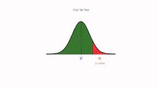 How to calculate One Tail and Two Tail Tests For Hypothesis Testing [upl. by Kemppe755]