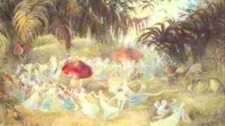 Tchaikovsky  Dance of the Sugar Plum Fairy [upl. by Analat]