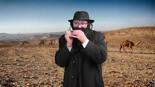 Yidish Klezmer Musicharmonica [upl. by Blum]