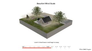 Beaufort Scale Wind Speed Example [upl. by Kcirderf]