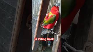 si Paling Jinak [upl. by Yehs]