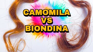 BIONDINA Vs CAMOMILA  Qual clareia mais  Testamos por 1 mês [upl. by Hu507]