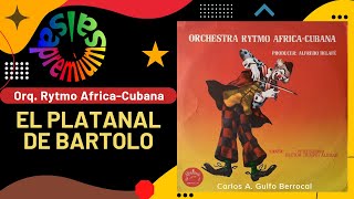 🔥EL PLATANAL DE BARTOLO por ORCHESTRA RYTMO AFRICACUBANA  Salsa Premium [upl. by Vona61]