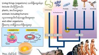 Grade 10 Biology Unit 1 15 Ethiopian biologists and their contributions GlobeDock Academy [upl. by Damaris902]