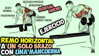 EJERCICIO Para DORSALES 🔴 El REMO HORIZONTAL A Un SOLO BRAZO Con UNA MANCUERNA 🟢 Gana ESPALDA [upl. by Neelyahs]