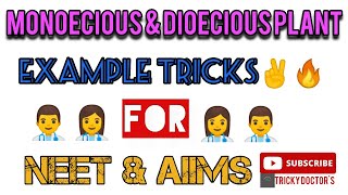 Monoecious amp Dioecious plant🔥 Example Tricks🎯 NEET2021 tricks NCERT Short tricks✌ NEET Biology🎯 [upl. by Bergmans]