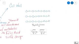 Antibacterial Drugs [upl. by Goulette]