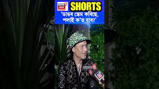 পলাতক Sumi Borah আৰু Tarkik Borah ৰ প্ৰসংগত Zubeen Garg ৰ মন্তব্য shorts 110924 n18s [upl. by Dnalor]