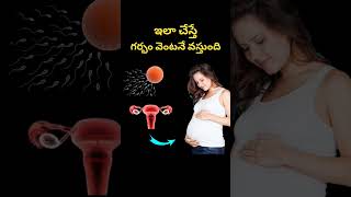 ఇలా చేస్తే గర్భం వెంటనే వస్తుంది  How to get pregnancy fast pregnancy [upl. by Hannavahs]