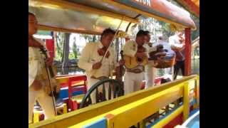 MEXICO CITY Mariachi Serenade at Xochimilco [upl. by Owen480]