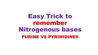 Nucleotide bases Super trick to remember nitrogenous basis  purine and pyrimidine [upl. by Faucher]