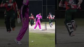 BATSMAN SMASHES WICKET cricket cricketlover lastmanstands cricketnews fyp cricketindia lms [upl. by Naves60]