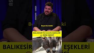 İrem Derici ve Balıkesirin Çılgın Eşekleri 😅 [upl. by Warms]