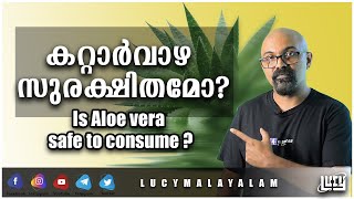 Is Aloe vera Safe To Consume Malayalam  Kattarvazha Malayalam  Lucy  Chandrasekhar R 🥬 [upl. by Olenka786]