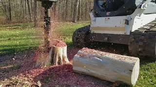 Eureka Rental Stump Planer [upl. by Alfeus]