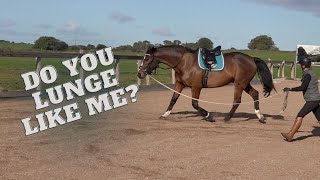 How To Lunge A Horse amp Some Lunging Tips [upl. by Retrak773]