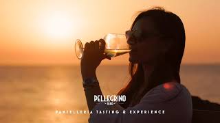 Pellegrino a Pantelleria  Degustazioni guidate e Aperitivi al tramonto [upl. by Enehpets66]