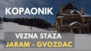 Kopaonik  POV skijanje 29032018 [upl. by Yanaj]