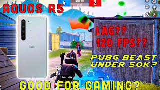 sharp aquos r5g pubg test  sharp aquos r5 pubg review  sharp aquos r5 is pubg beast [upl. by Libnah404]