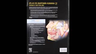 Netter Atlas de Anatomia Humana 5 edicion quinta [upl. by Niwle]