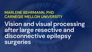 Vision And Visual Processing • Marlene Behrmann PhD [upl. by Nilek]