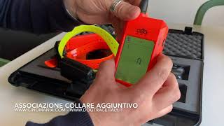 Associazione collare X20X30 Dogtrace GPS con ricevente [upl. by Nalahs]