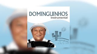 Dominguinhos  quotTreze de Dezembroquot Dominguinhos Instrumental2014 [upl. by Dowzall]