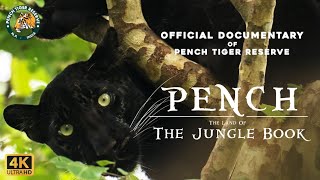 Pench  The Land Of The Jungle Book  Official Documentary  4K [upl. by Grassi682]