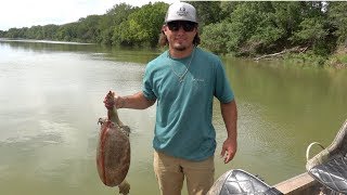 Soft Shell Turtle Catch Clean Cook [upl. by Obidiah984]