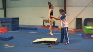 How to use the Spring Board  Tony Retrosi [upl. by Aicenaj39]