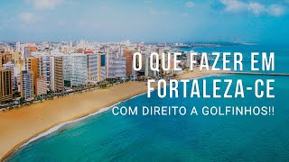 FORTALEZA  Conhecendo a cidade e vendo GOLFINHOS [upl. by Catlin]