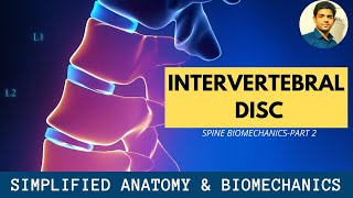 INTERVERTEBRAL DISC SIMPLIFIED  ANATOMY  BIOMECHANICS OF SPINE Part 2 [upl. by Rexford428]