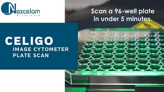 Celigo Image Cytometer Plate Scan Video [upl. by Eibloc]