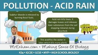 Pollution  Acid Rain  GCSE Biology 91 [upl. by Evers]