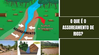 O QUE É O ASSOREAMENTO DE RIOSQueHistoriaeEssaMax [upl. by Meter685]